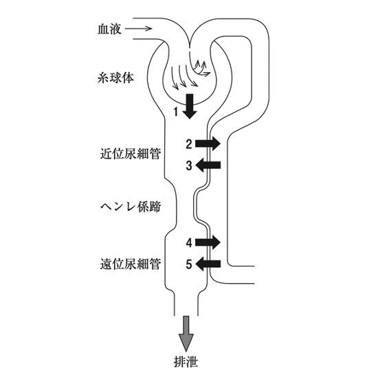 解説画像